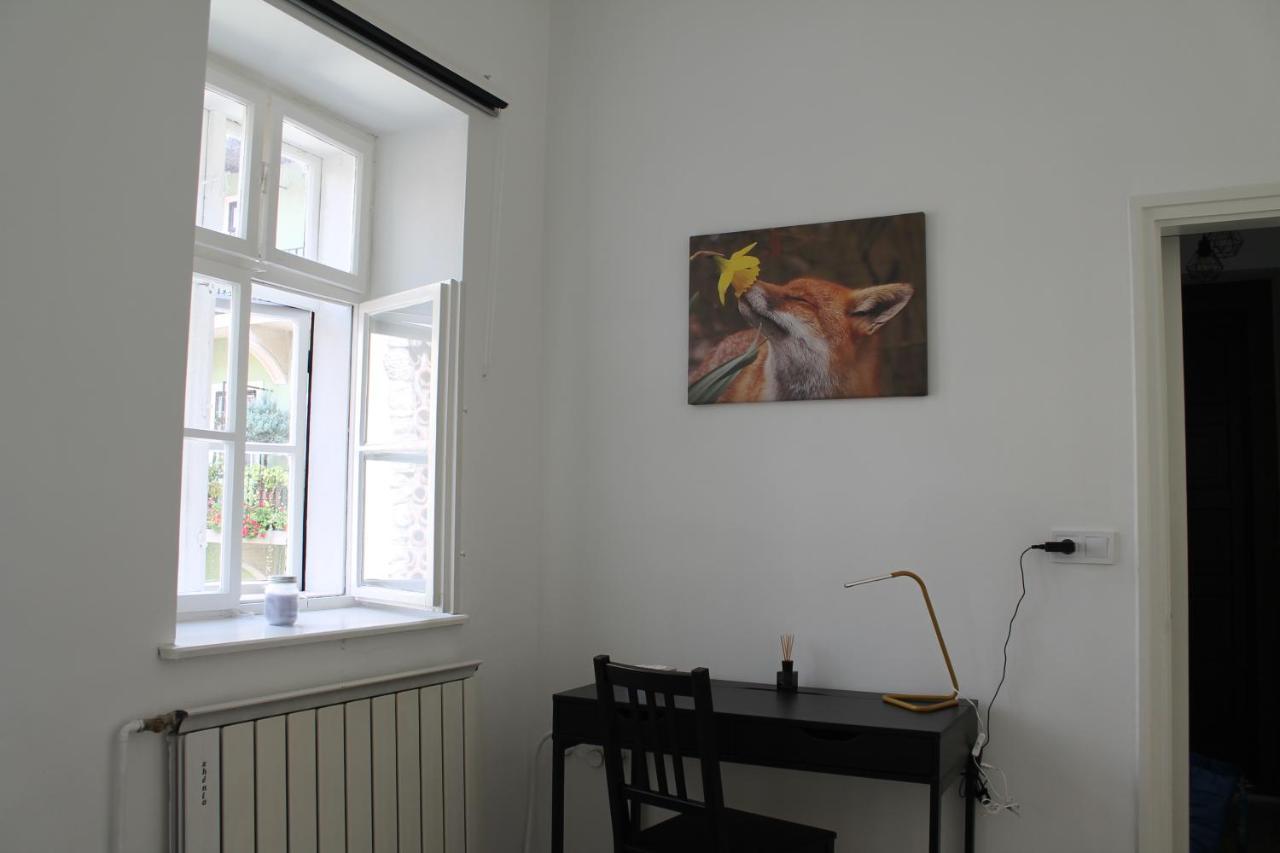 Zwinger Apartman Sopron Zewnętrze zdjęcie