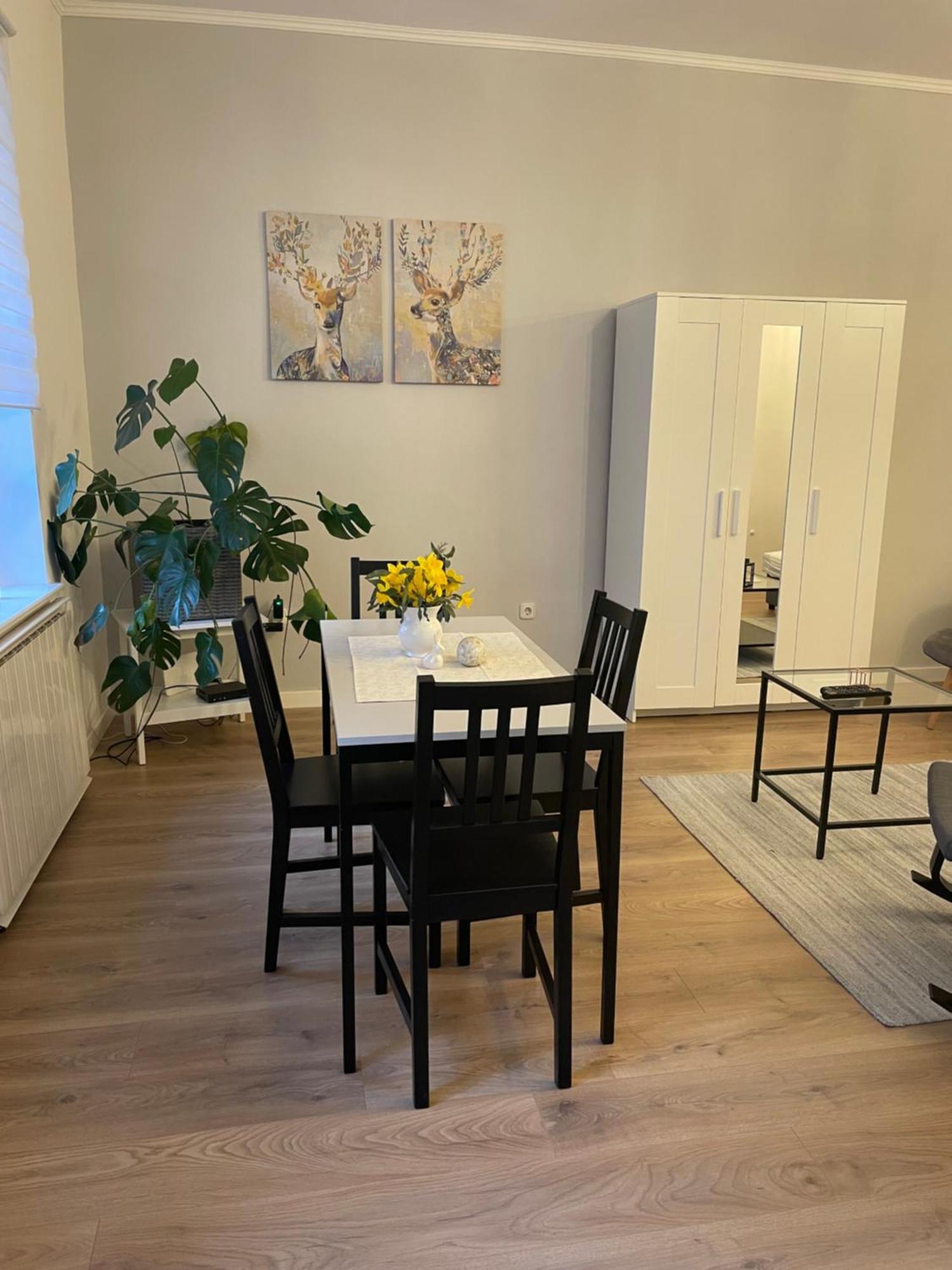 Zwinger Apartman Sopron Zewnętrze zdjęcie